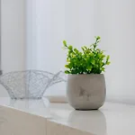 Apartment Garru24 - Centro *